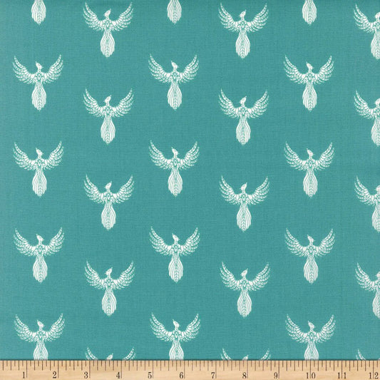 AGF | Onward & Upward | Rise Up | Aqua