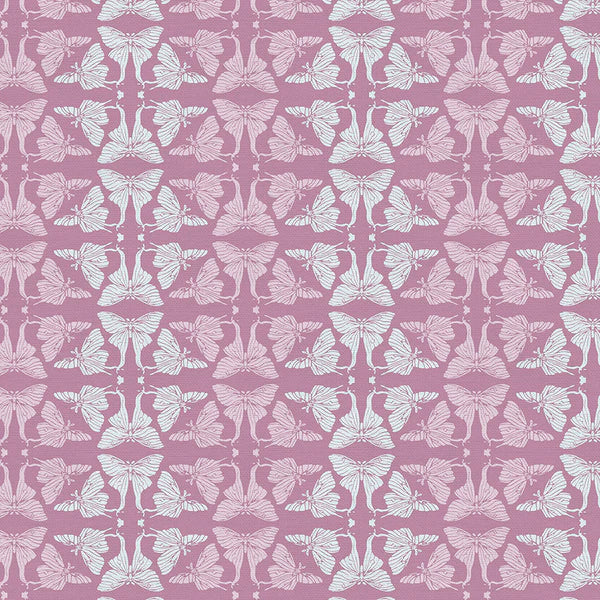 Paintbrush Studios | La Luna | Moth Geo | Pink