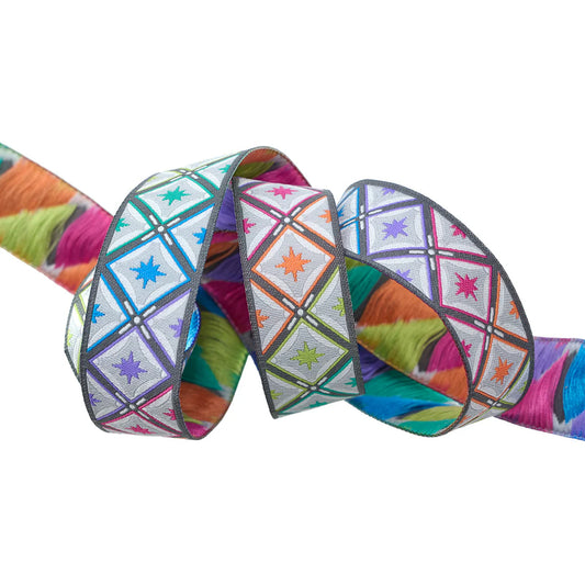 Ribbon | STARGAZER IN STORM - 7 |8" WIDTH - TULA PINK ROAR!