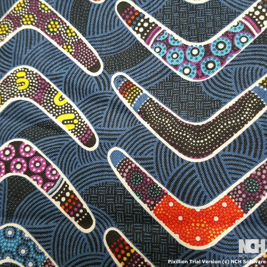 Paintbrush Studio Goanna Walkabout Boomerang Blue