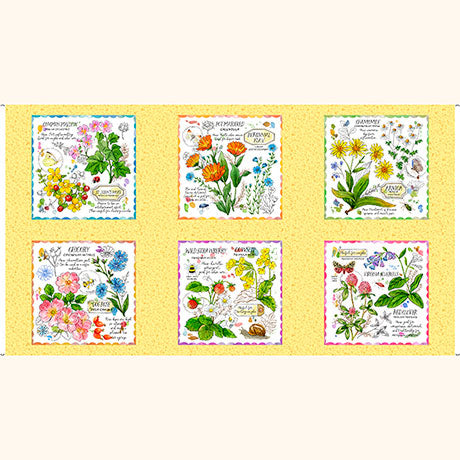QT Fabrics | Healing Garden | Picture Patch