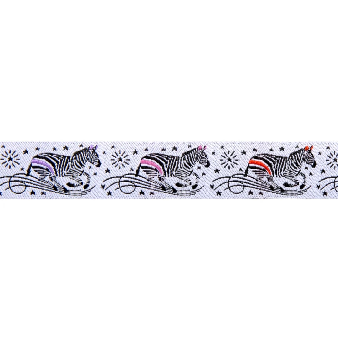 Ribbon | Tula Pink | ZEBRA ON LINES | LINEWORK - 7/8"