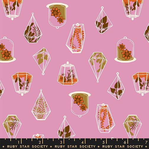 Ruby Star Society | Calathea | Terrarium | RS5183-12