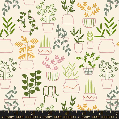 Ruby Star Society | Calathea | Plant Life | RS5184-11