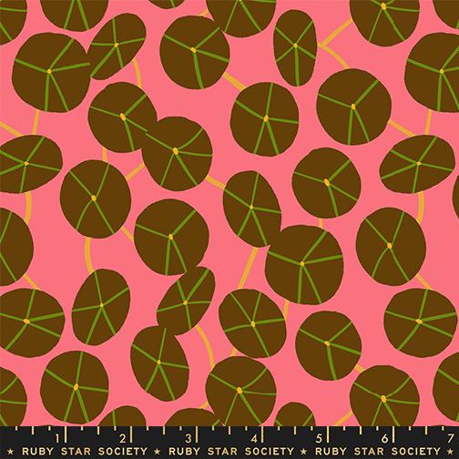 Ruby Star Society | Calathea | Pilea | RS5188-14