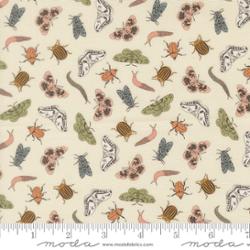 Moda | Petalush | Entomology | Lush | 26165-11