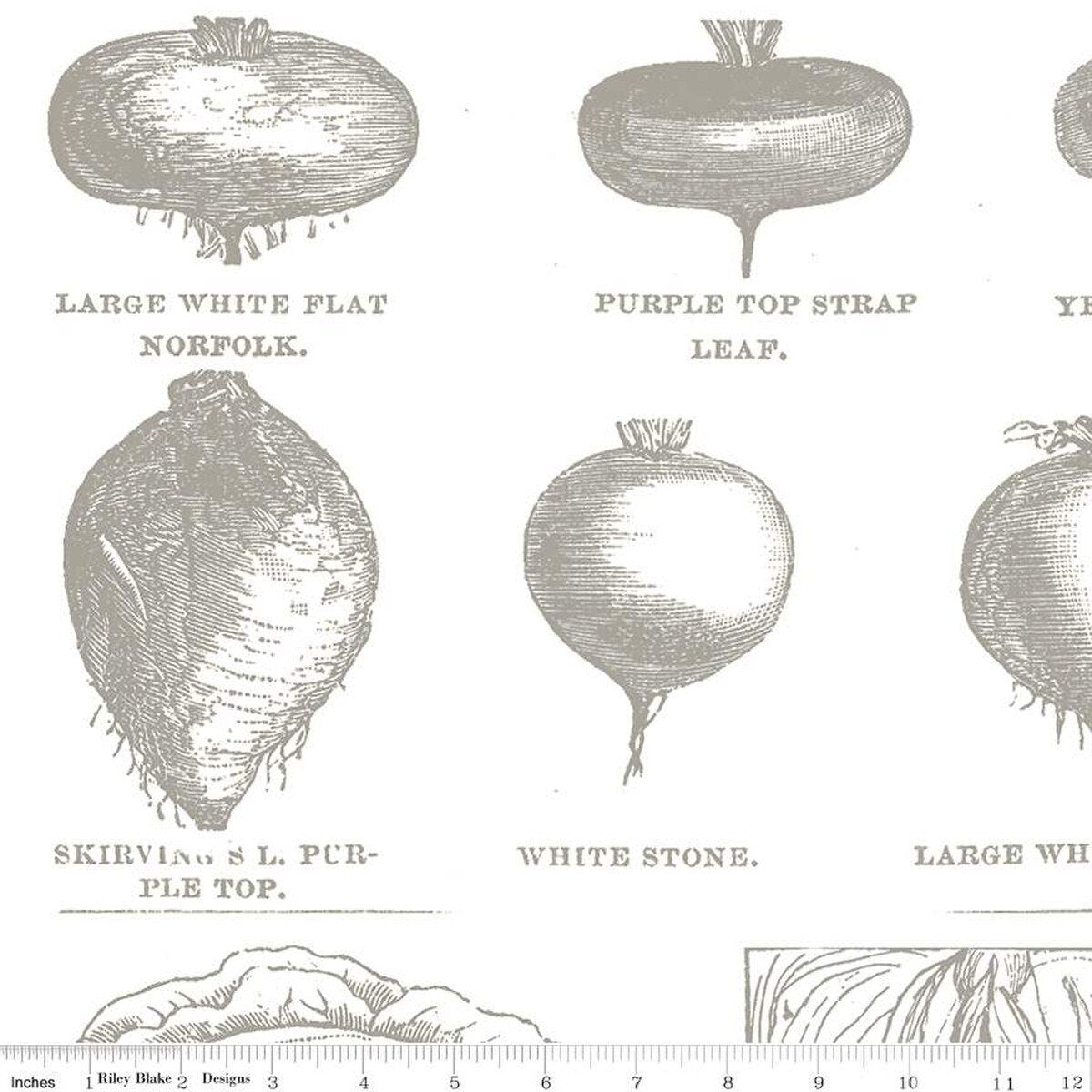 Riley Blake | Pumpkin Patch | Vintage Veggies | Gray | J Wecker Frisch