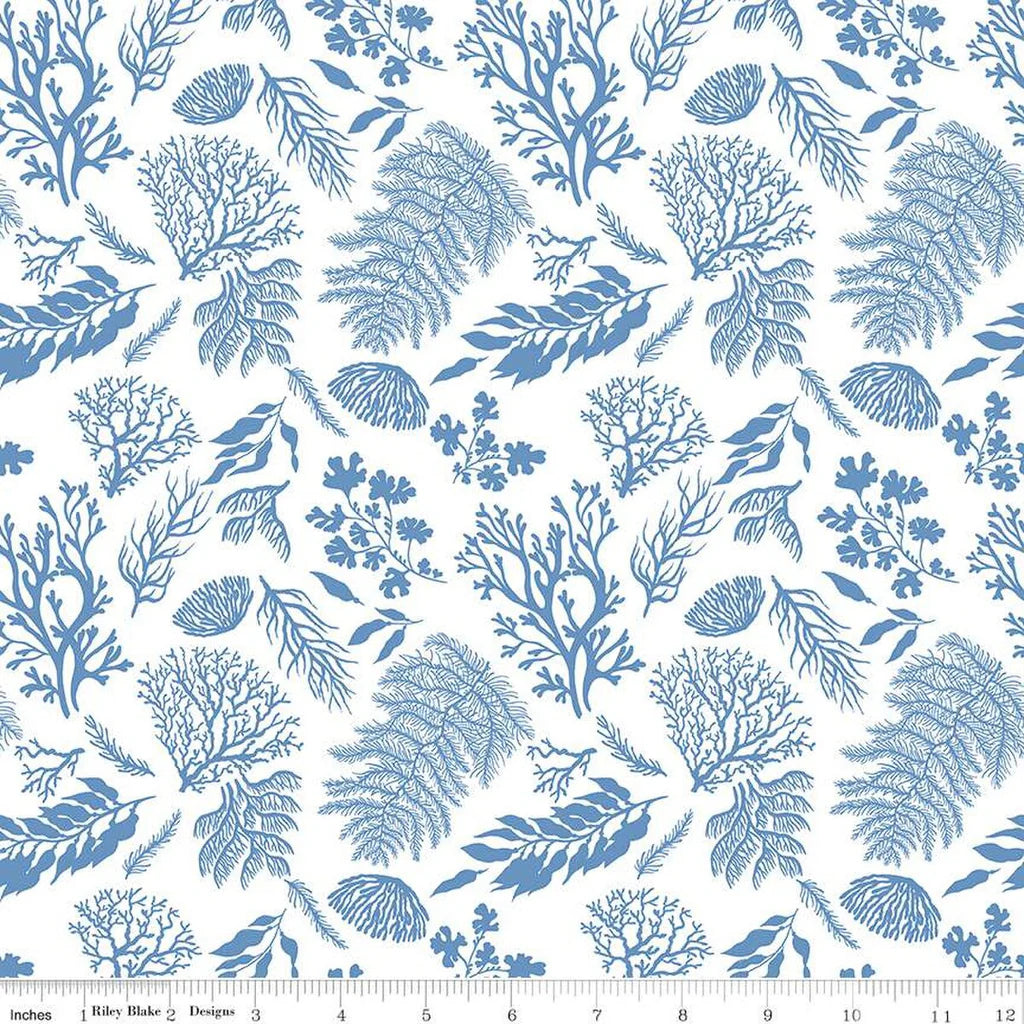 Riley Blake | Ocean Oasis | White