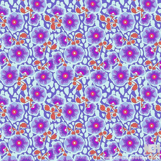 Free Spirit | Good Gracious | Anna Maria | Happy Blooms | Grape