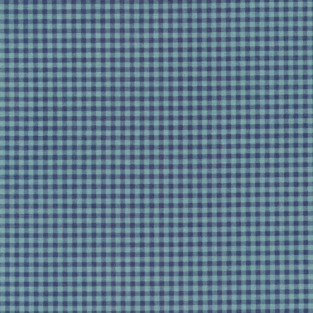 Riley Blake | Prairie | Denim | Lori Holt