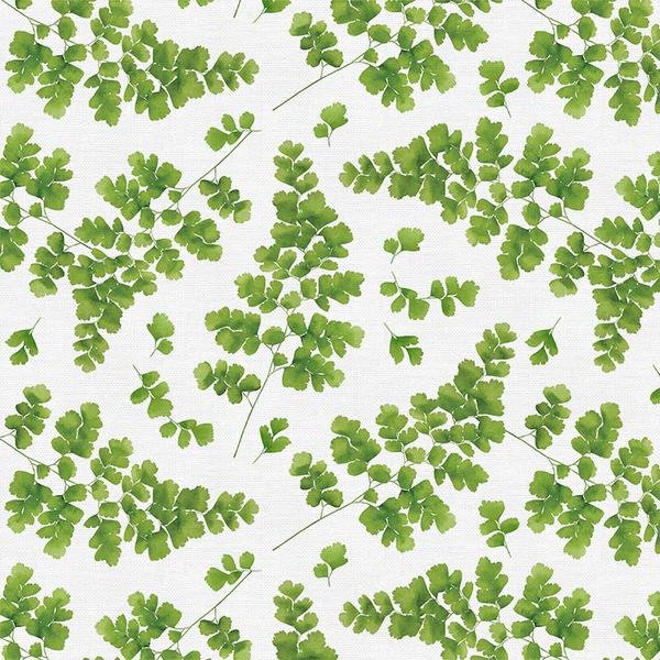 Paintbrush Studio | Modern Botanicals | Maidenhair