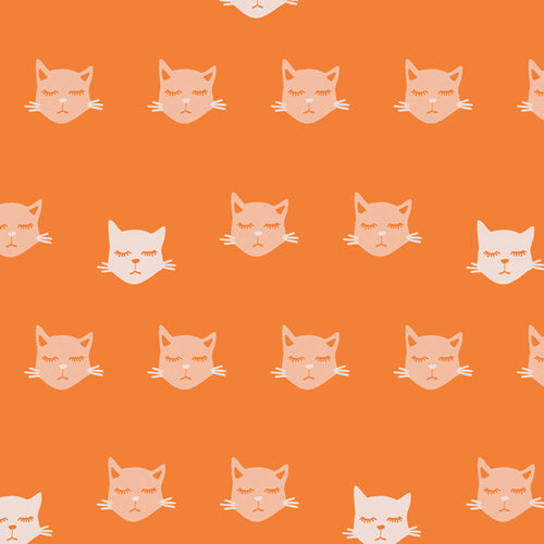 AGF | Oh, Meow | Cat Nap | Jessica Swift