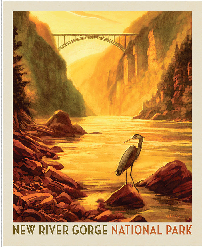 Riley Blake Designs | National Parks | National Parks 35 1/2" x 43 1/2" New River Gorge Poster Panel | PD19153-PANEL