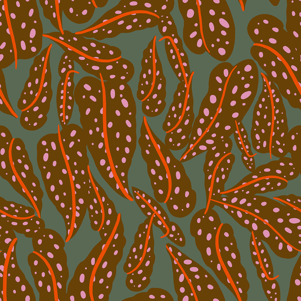 Ruby Star Society | Calathea | Overlapping Leaves | RS5187-12