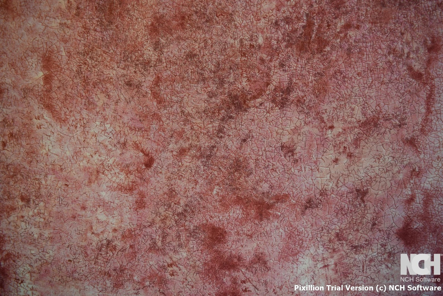 Paintbrush Studio | Marblehead | Crackled Impatient