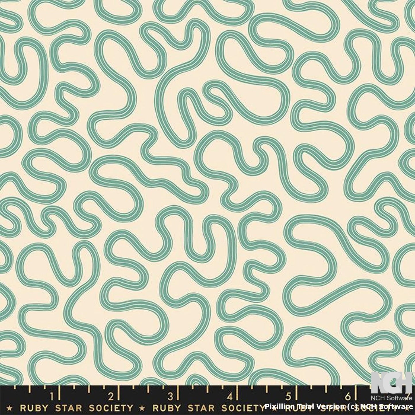 Ruby Star | Verbena | Jen Hewett | RS6035 | Meander Watercress