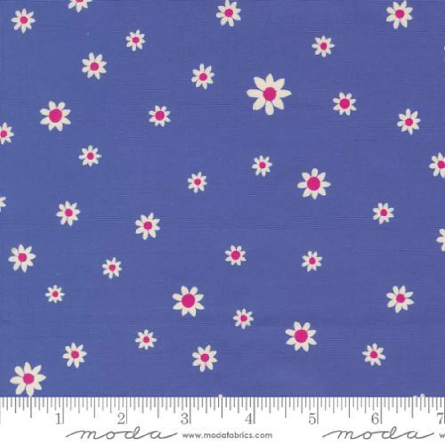 Moda | Maeve | Crystal Manning | Daisy | Periwinkle