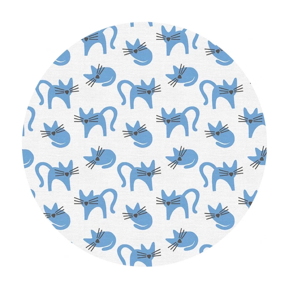 Paintbrush Studio | Animal Kingdom | Cat | Blue |White