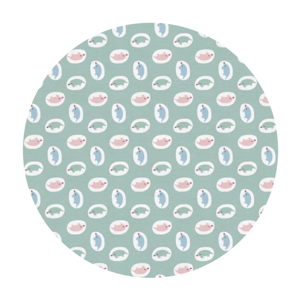Paintbrush Studio | Animal Kingdom | Mole | Green |Pink |Blue