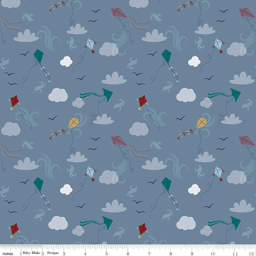 Riley Blake | A Spoonful of Sugar | Let's Go Fly a Kite | Storm | C17083