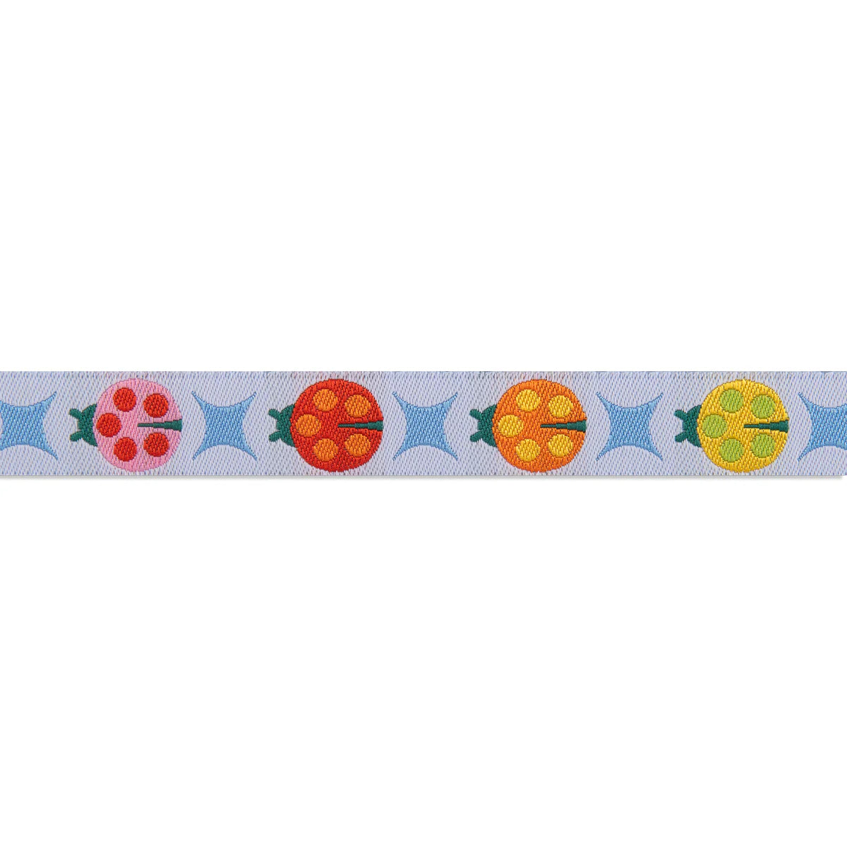 Ribbon | Painted Ladies on White | Tula Pink | 5/8"