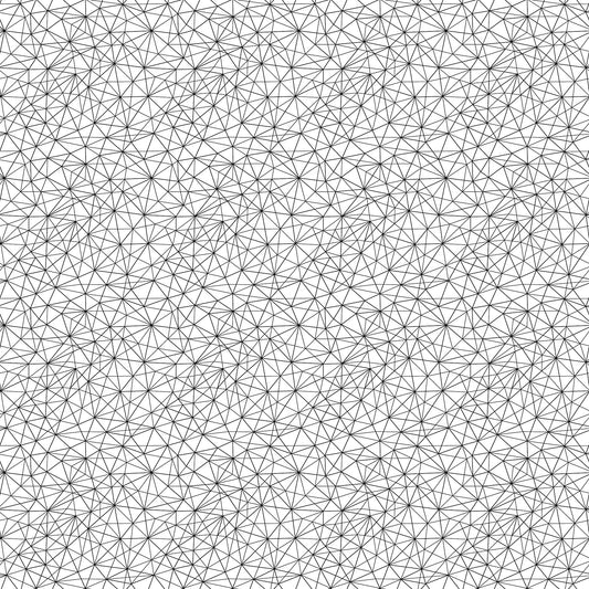 Northcott | Patrick Lose | Basically Black & White | Positive | Geo Mesh | 10720-11