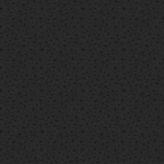 Northcott | Patrick Lose | Basically Black & White | Black | Geo Mesh | 10720-99