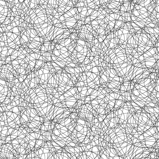 Northcott | Patrick Lose | Basically Black & White | Positive | Radial | 10721-11