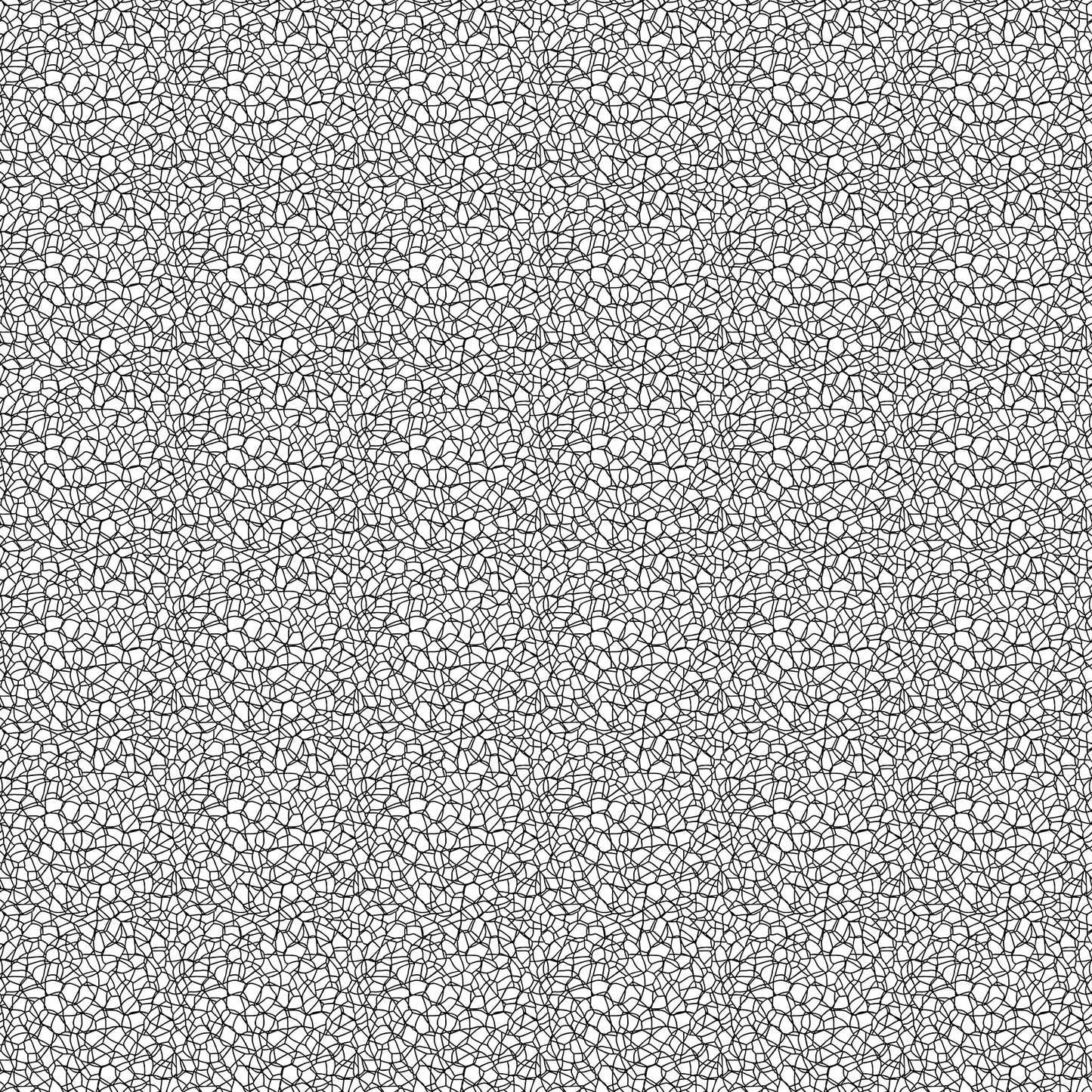 Northcott | Patrick Lose | Basically Black & White | Positive | Voronoi | 10725-11