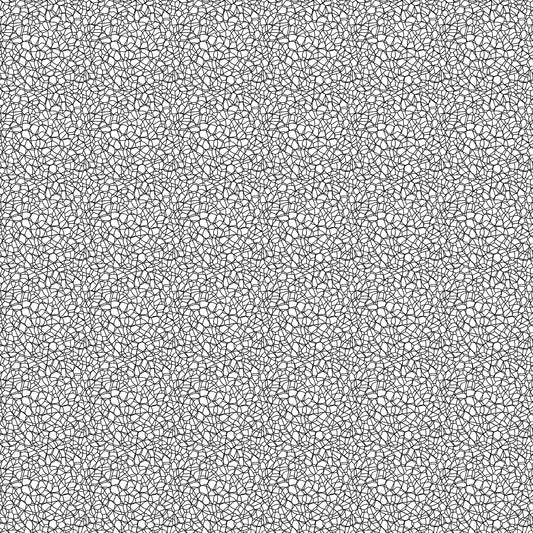 Northcott | Patrick Lose | Basically Black & White | Positive | Voronoi | 10725-11