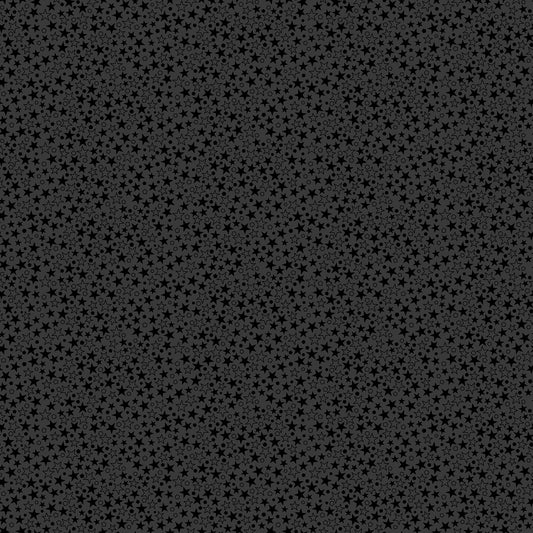 Northcott | Patrick Lose | Basically Black & White | Black | Twinkle | 10726-99