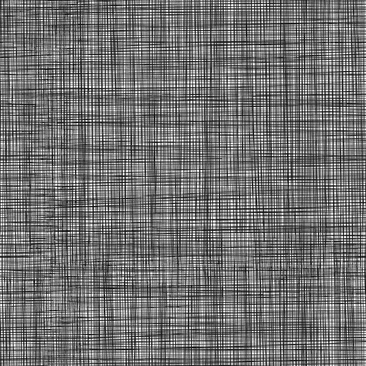 Northcott | Patrick Lose | Basically Black & White | Positive | Woven | 10728-11