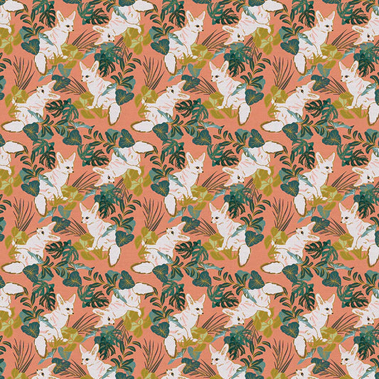 Paintbrush Studio | Moraccan Sunrise | Fennec Fox | Peach