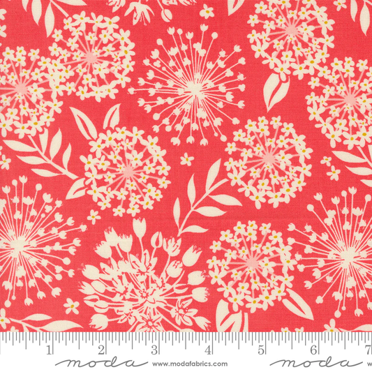 Moda | Tango | Kate Spain | Simpatico | Tangerine