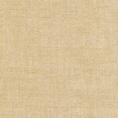 StudioE Fabrics | Pepper Cory | Peppered Cottons | Col 39