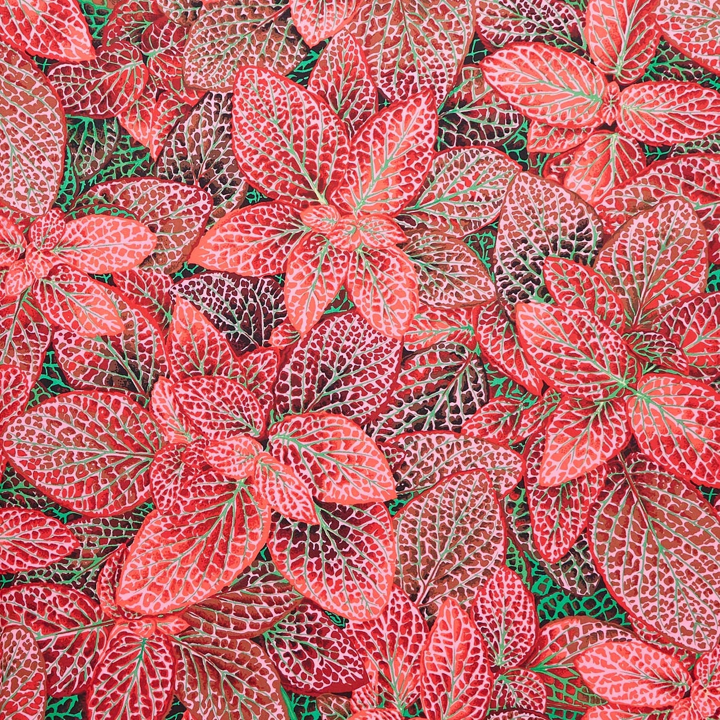 Free Spirit | Philip Jacobs | Kaffe Fassett Collective | Fittonia | Red