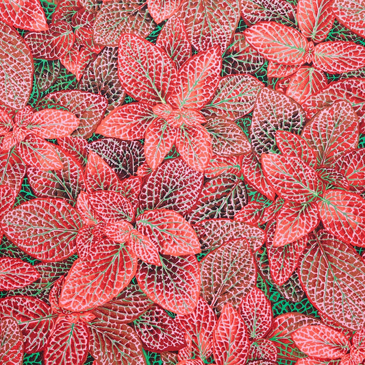 Free Spirit | Philip Jacobs | Kaffe Fassett Collective | Fittonia | Red