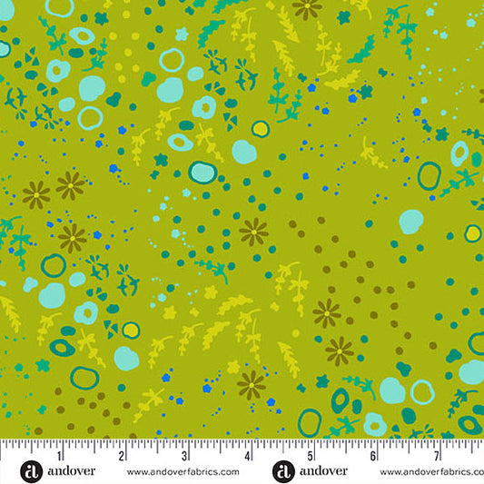 Andover | Sun Print 2026 | Eqanimity | Toad | A-10048-G