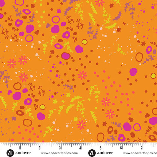 Andover | Sun Print 2026 | Eqanimity | Squash | A-10048-O