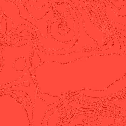 Sun Print 2023 by Alison Glass Topography - Orange