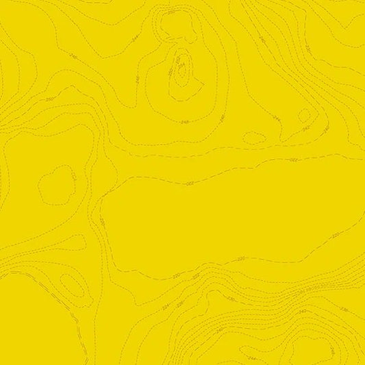 Sun Print 2023 by Alison Glass Topography - Yellow