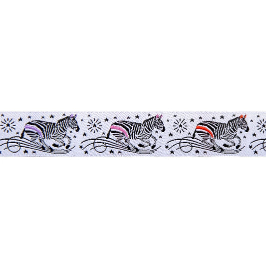 Ribbon | Tula Pink | ZEBRA ON LINES | LINEWORK - 7/8"