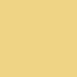 Feather Flannel | Feather | Sunshine | QT Fabrics
