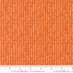 Coven | Coven Toss | Pupmkin Spice | Robin Pickens fabric