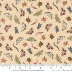 Moda | Petalush | Entomology | Ballerina | 26165-12