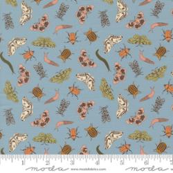 Moda | Petalush | Entomology | Wind | 26165-16