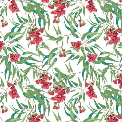 AGF | Blooming Eucalyptus