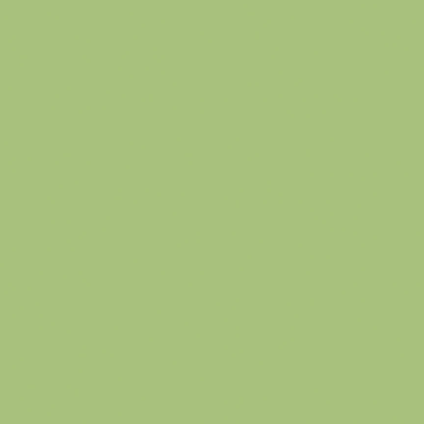 Riley Blake Designs | Confetti Cotton™ | Confetti Cottons Color Lettuce, MOQ 10Yard(s) | Green | C120-LETTUCE
