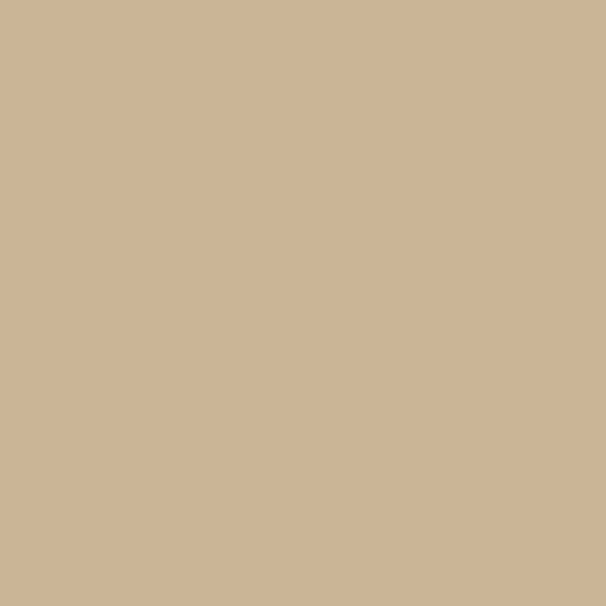 Riley Blake Designs | Confetti Cotton™ | Confetti Cotton Solid Palomino | C120-PALOMINO