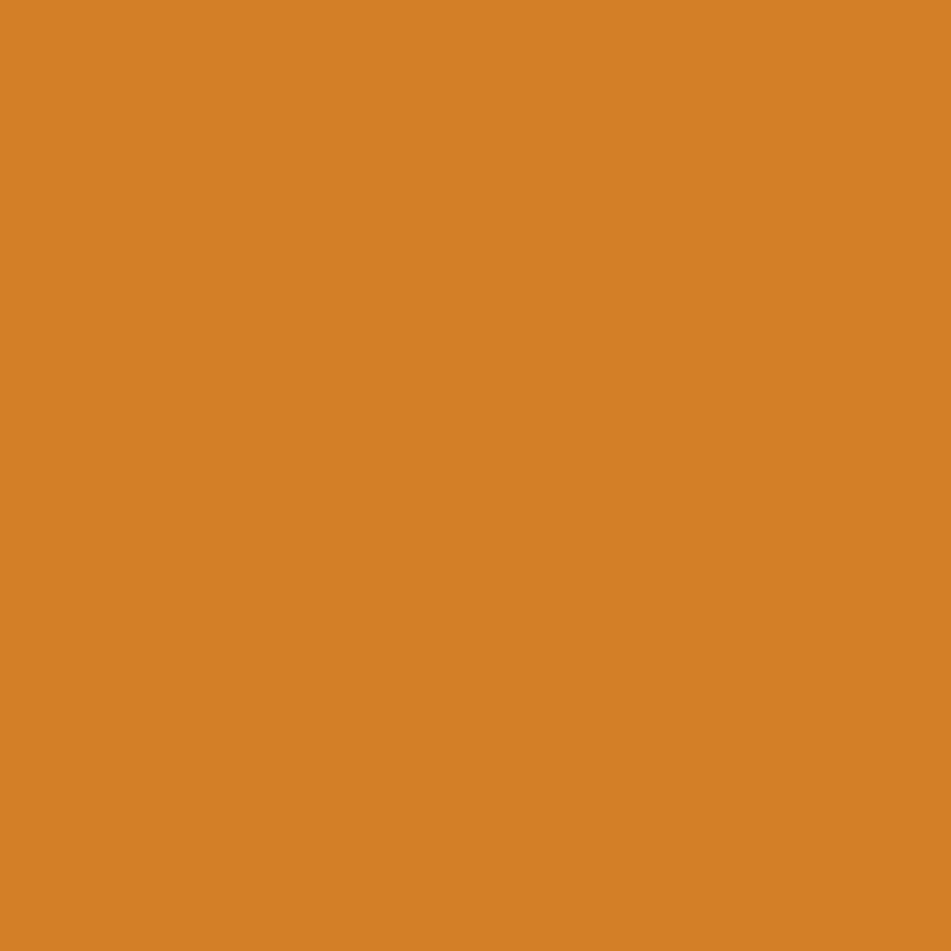 Riley Blake Designs | Confetti Cotton™ | Confetti Cotton Solid Spice | C120-SPICE